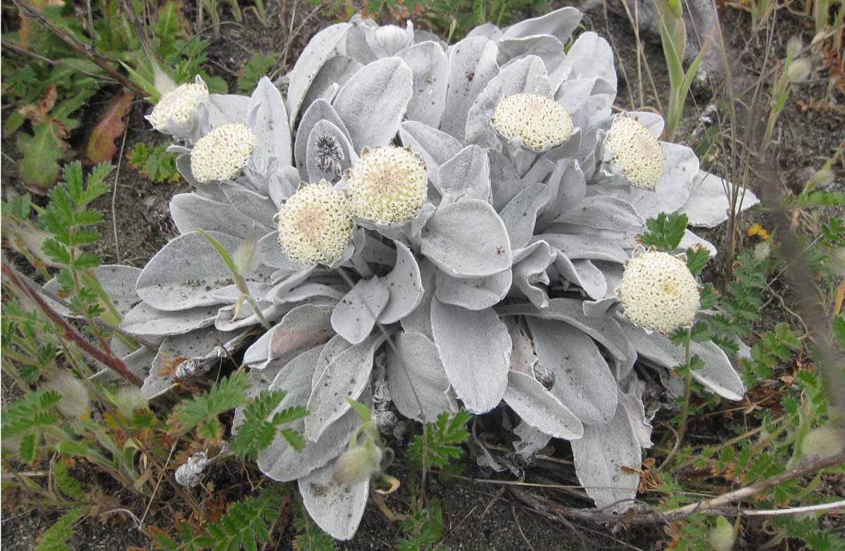 Open consultations Have your say