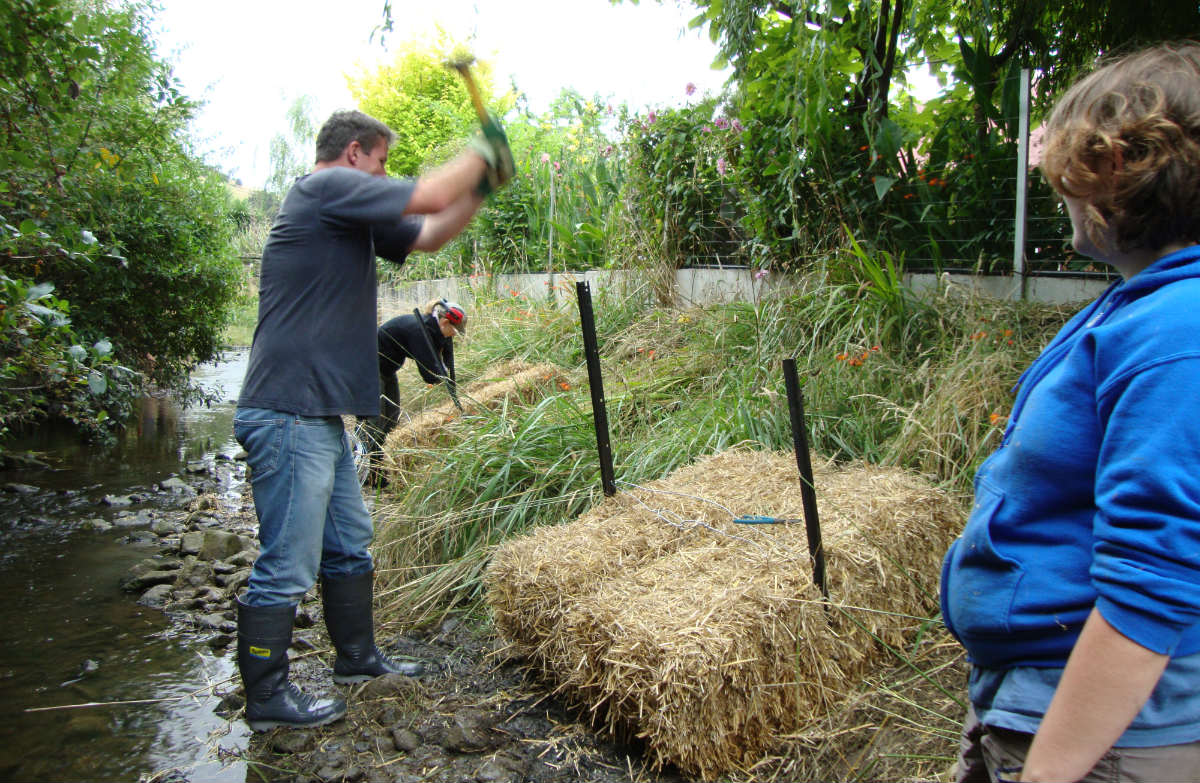 Straw bales as temporary inanga spawning habitat