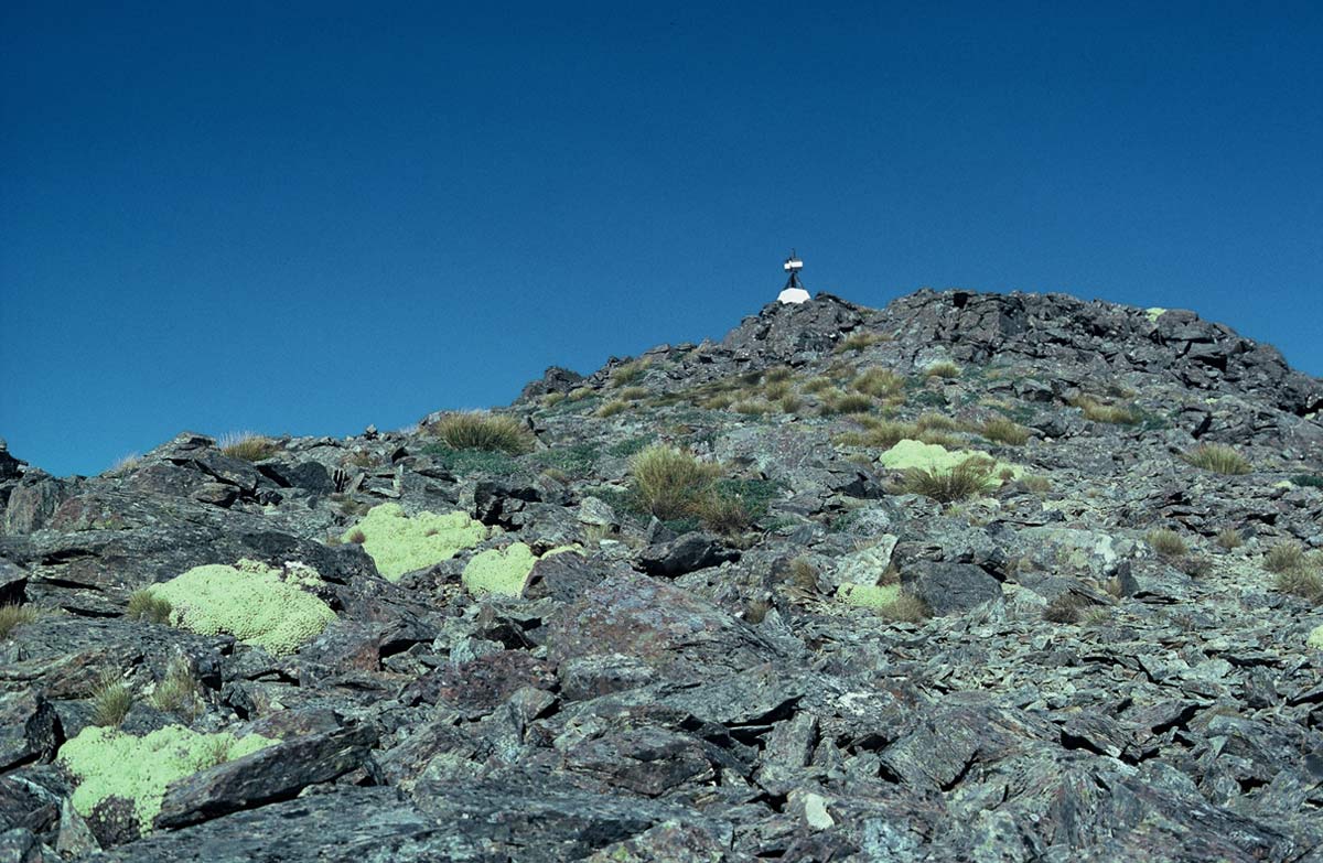 Forks/Riverside Walk