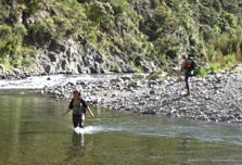 Smiths Stream Hut track