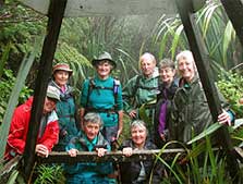 Dome Forest car park to Waiwhiu Grove