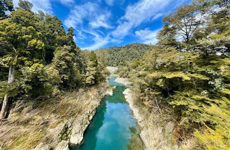 Circle Walk and Circle Loop Track: Pelorus Bridge Scenic Reserve ...