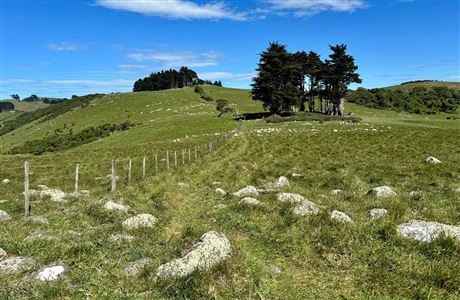 Heyward Point Track: Aramoana area, Otago region