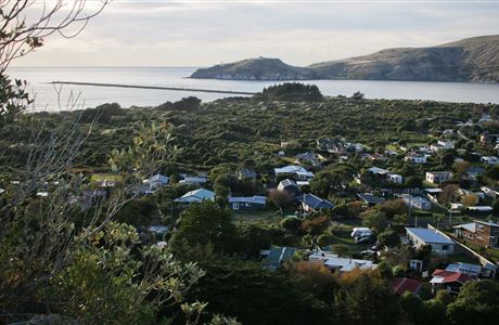 Heyward Point Track: Aramoana area, Otago region
