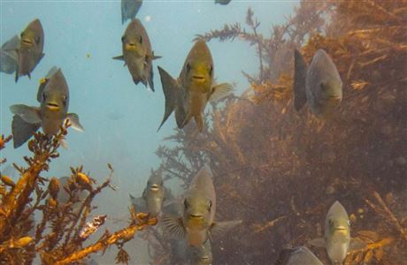 Te Whanganui-o-Hei/Cathedral Cove Marine Reserve: Places to go in ...