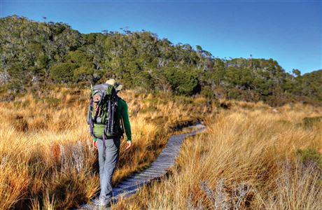 Walker on boardwalk. 