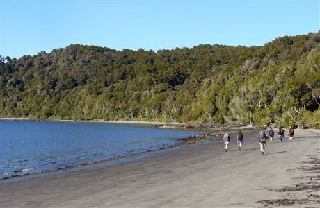 Trampers on the Rakiura Track walk along Magnetic Beach below the campsite at Port William. 