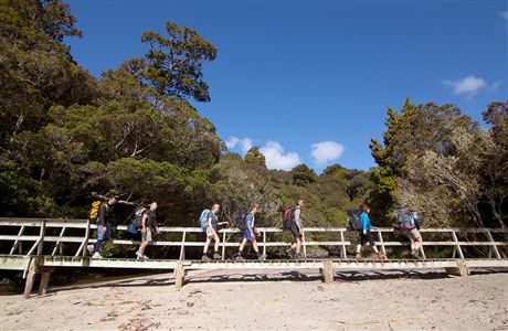 Trampers walking across bridge, Rakiura Track.