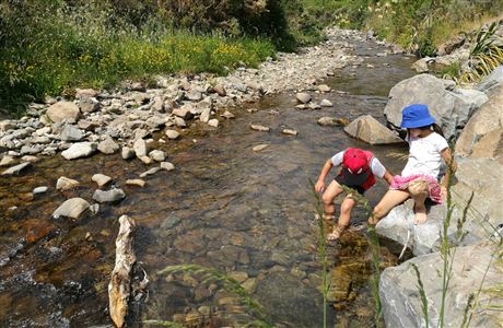 Catchpool Valley conservation campsite: Remutaka Forest Park ...