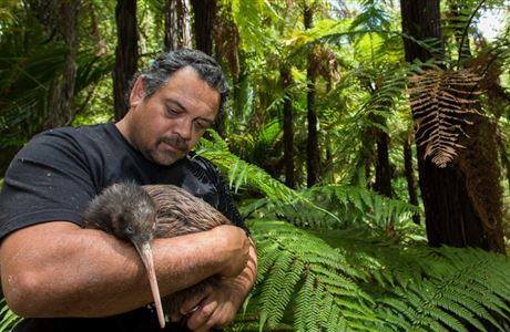 Our work towards Predator Free 2050