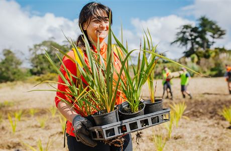 Get involved in Predator Free 2050