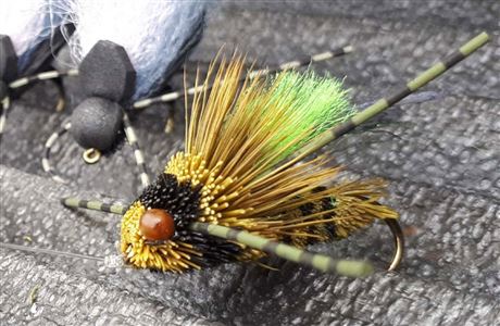 Taupō Trout Fishery