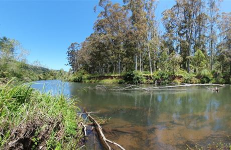 Freshwater restoration