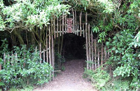 Waitomo area: Waikato