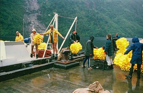 The history of Predator Free 2050