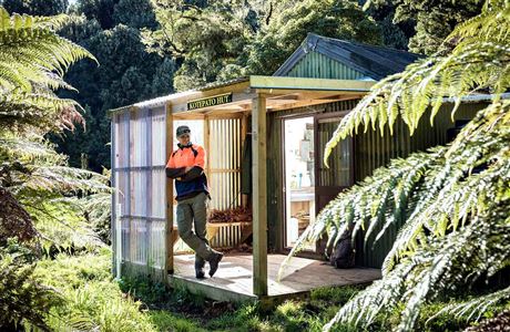Waioweka Conservation Area: Places to go in the East Coast region