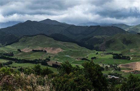 Pūkaha National Wildlife Centre: Places to go in the Wairarapa