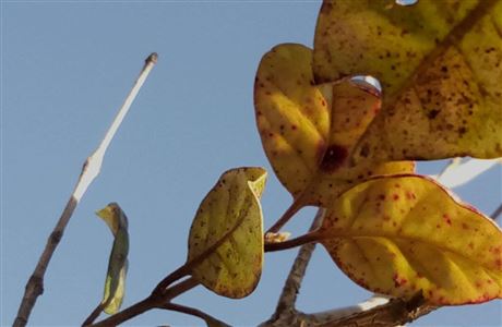 Managing threats to nature