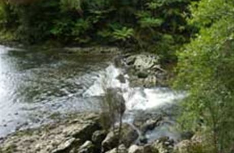 Waitōtara Conservation Area: Places to go in Manawatu/Whanganui