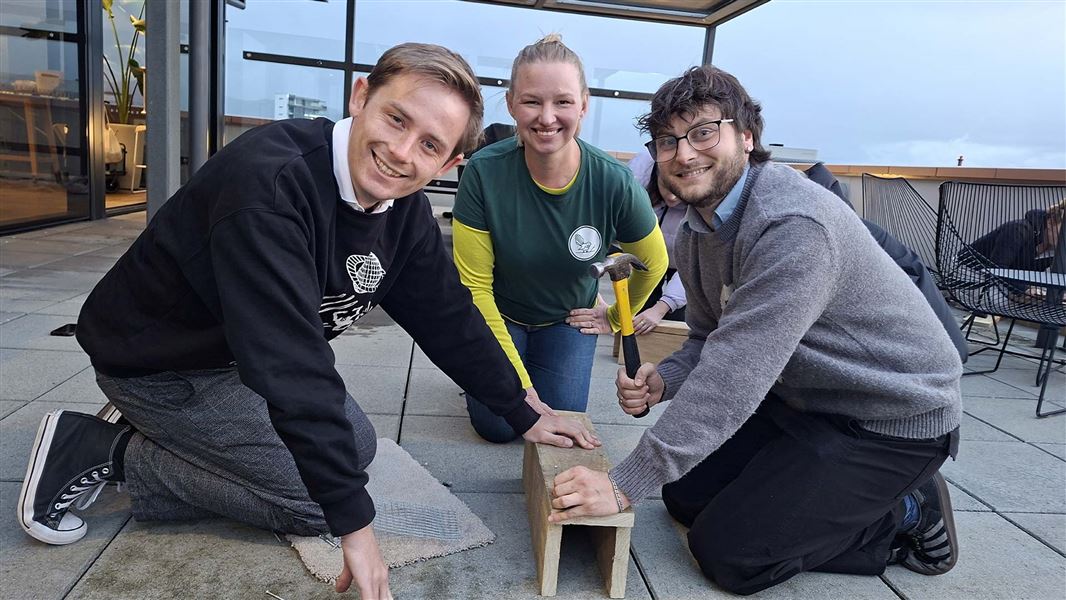 Lawyers building traps. 