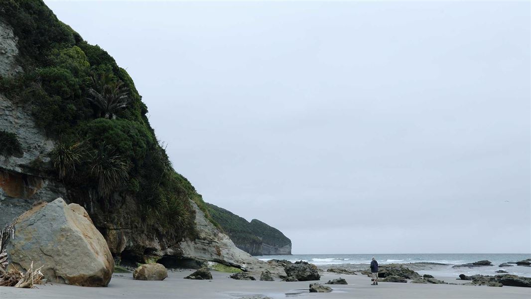 Large boulders rest in the sand of a rugged beach.