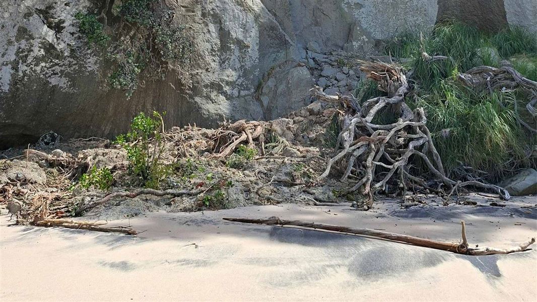 Branches and debris laying on the beach beneath cliffs. 