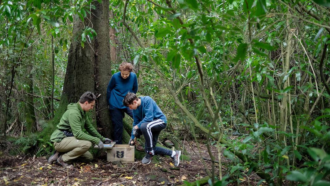 Predator free trapping. 
