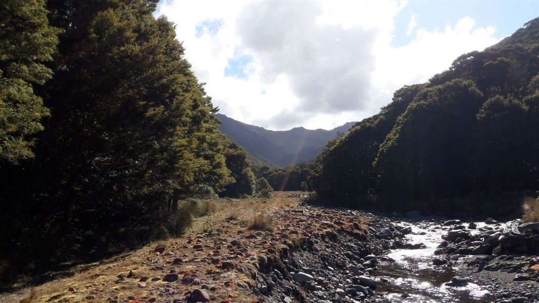 View along a river not far from Spence Hut, Takitimu Conservation Area.