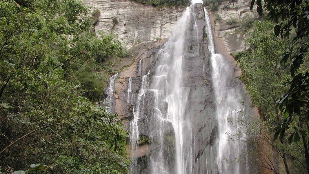 Tall waterfall cascading in several streams down a steep, exposed rock face, surrounded by dense vegetation.