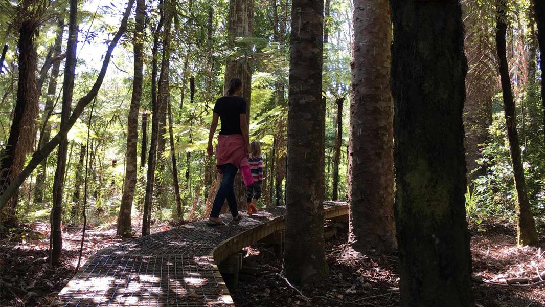 A woman and child on a boardwalk in the forest. 