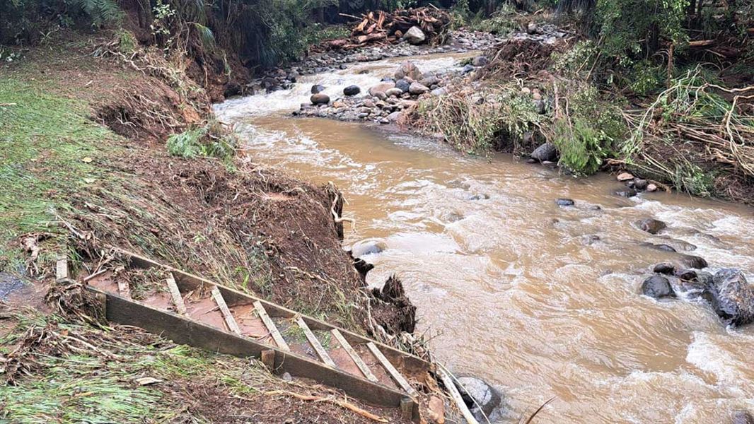 Nikau Walk following severe weather.