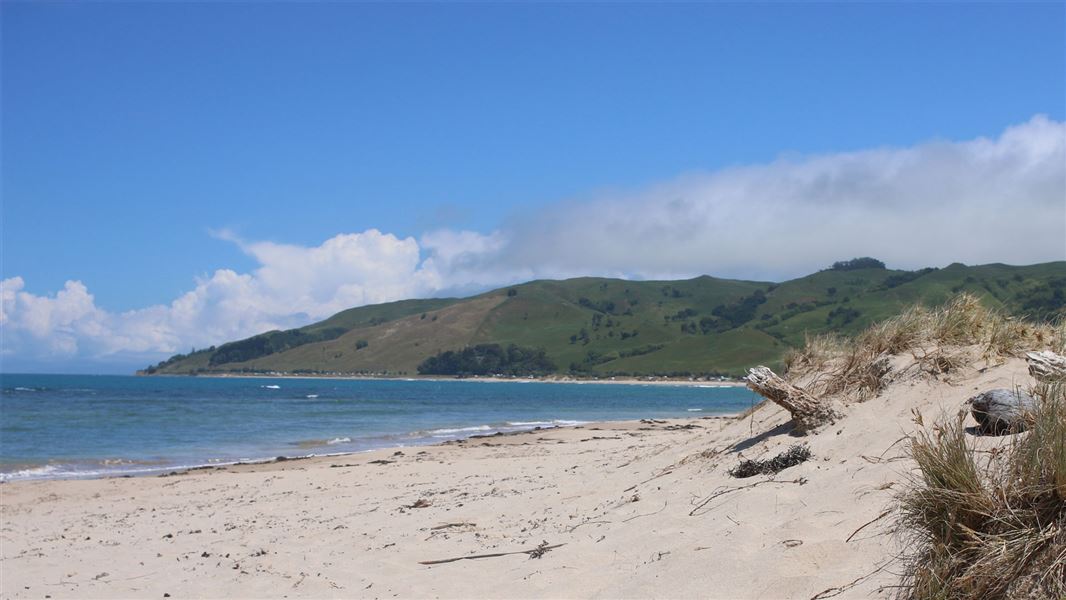 The beach at Te Tapuwae O Rongokako Marine Reserve.