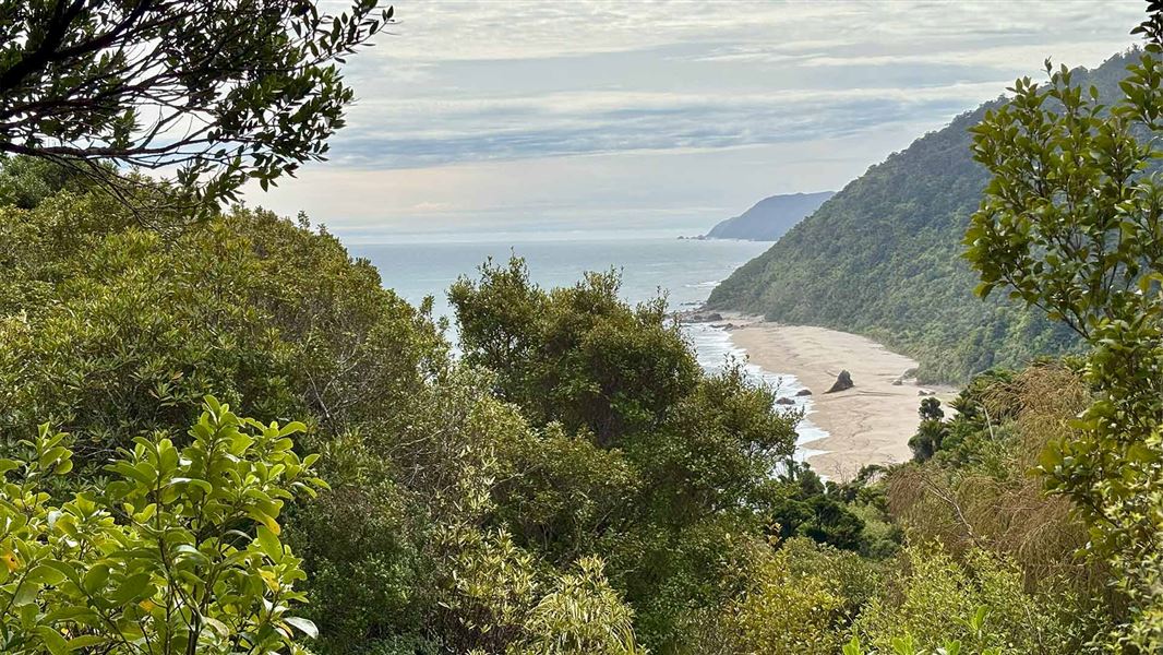 Coastal viewpoint on the Scotts Beach walk. 