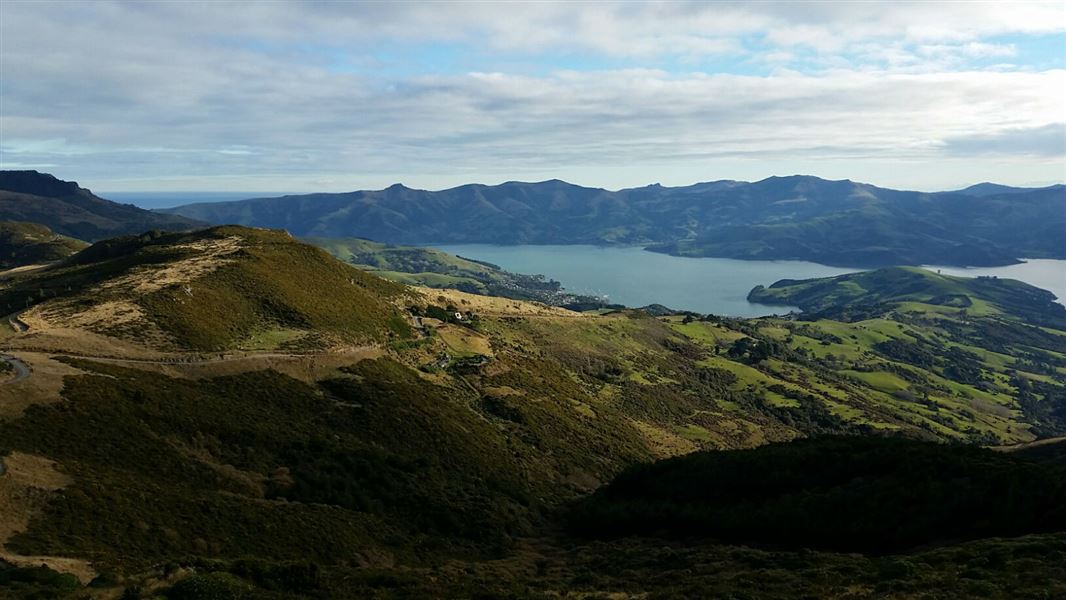 Akaroa from Ellangowan ridge.