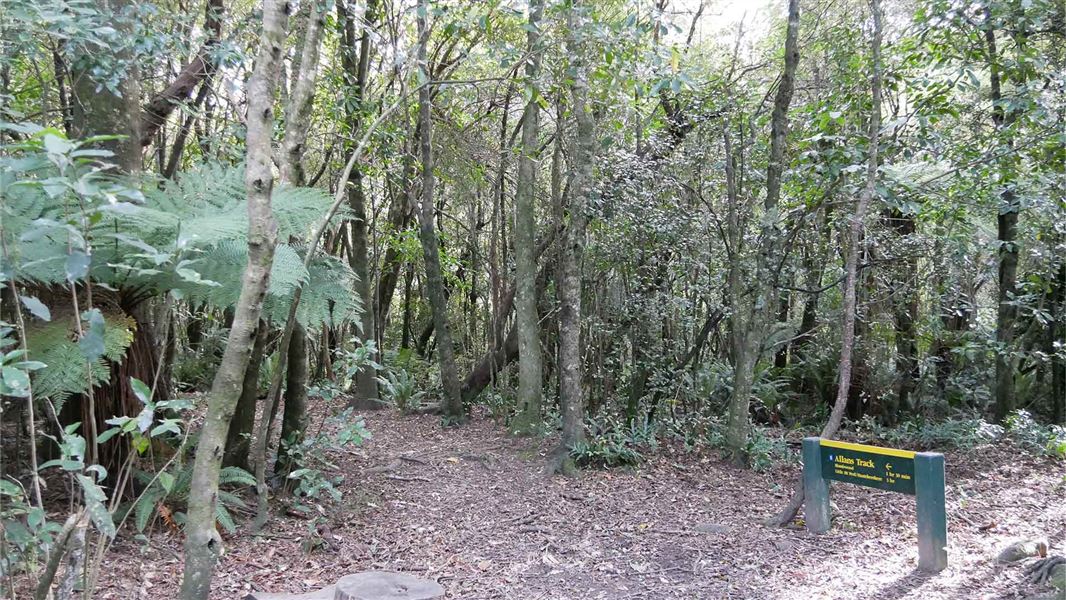 Way sign for Allans Track, Peel Forest Park Scenic Reserve.