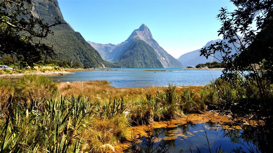 Taman Nasional Fiordland New Zealand