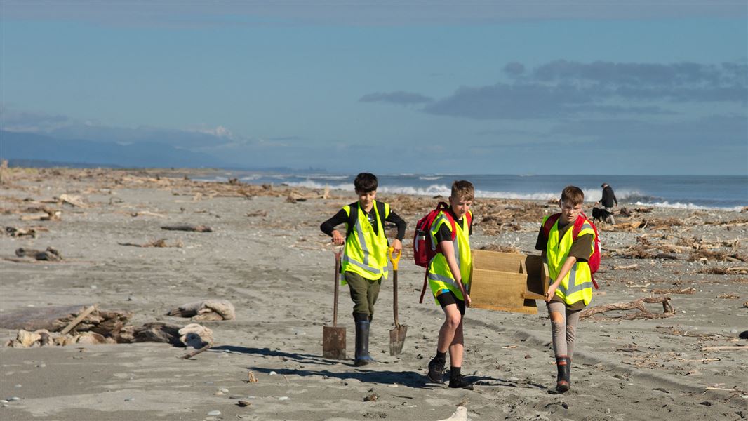 Children carry nesting boxes along a wild beach.