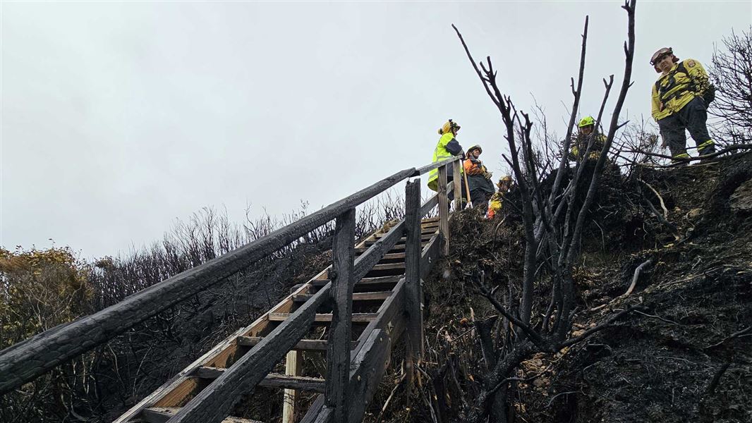 Staff in fire uniforms at the top of burnt track steps making assessments. 