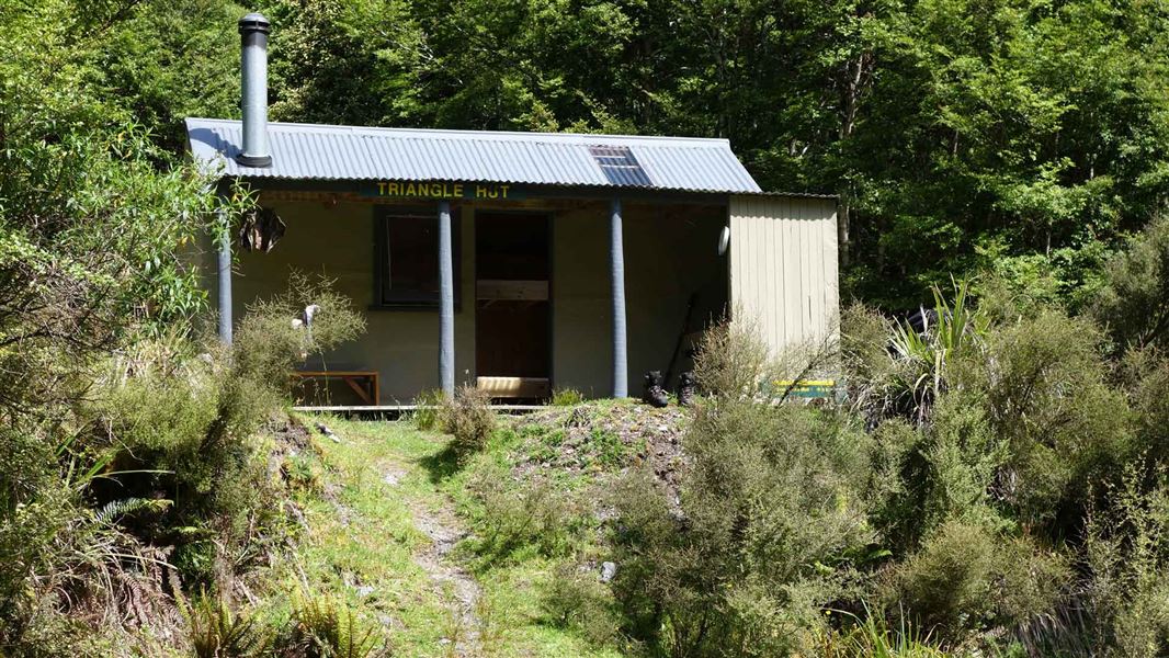 Triangle Hut Ruahine Forest Park, Manawatu region