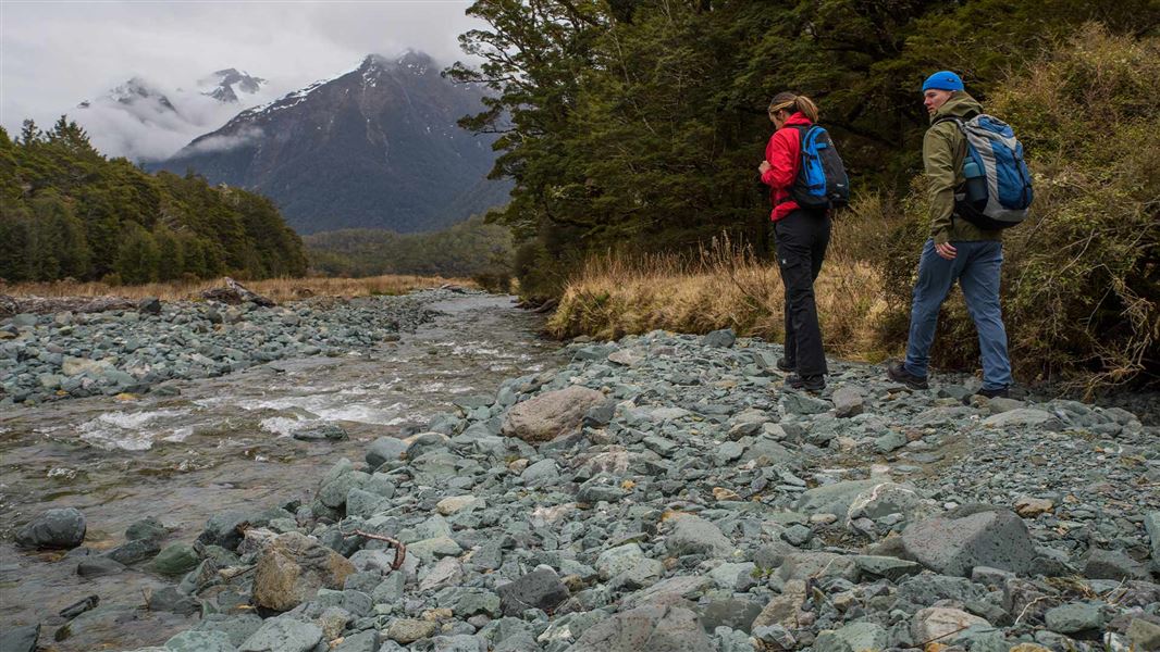 Hikers beside a stream. 