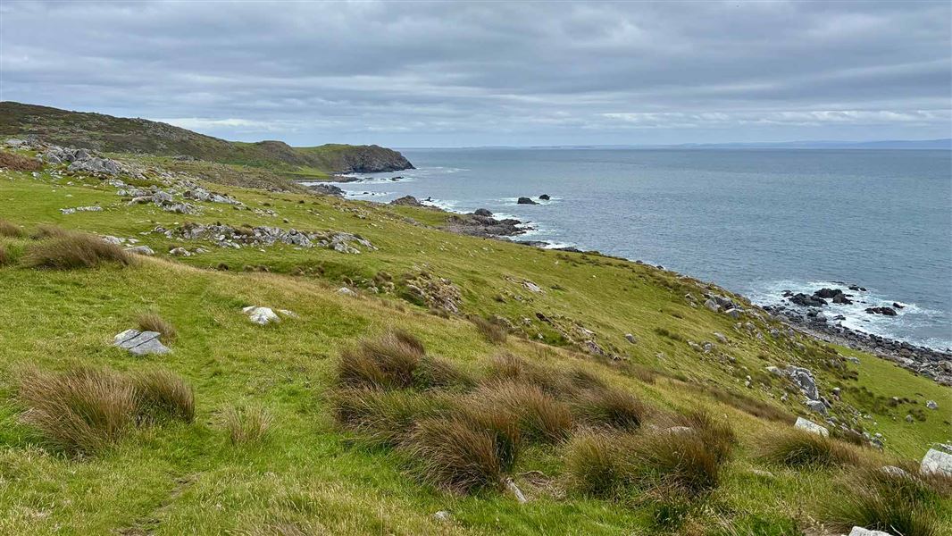 View from Ocean Beach Track. 