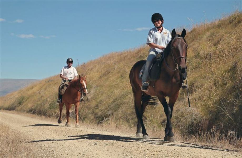 Horses on the Otago Central Rail Trail.
