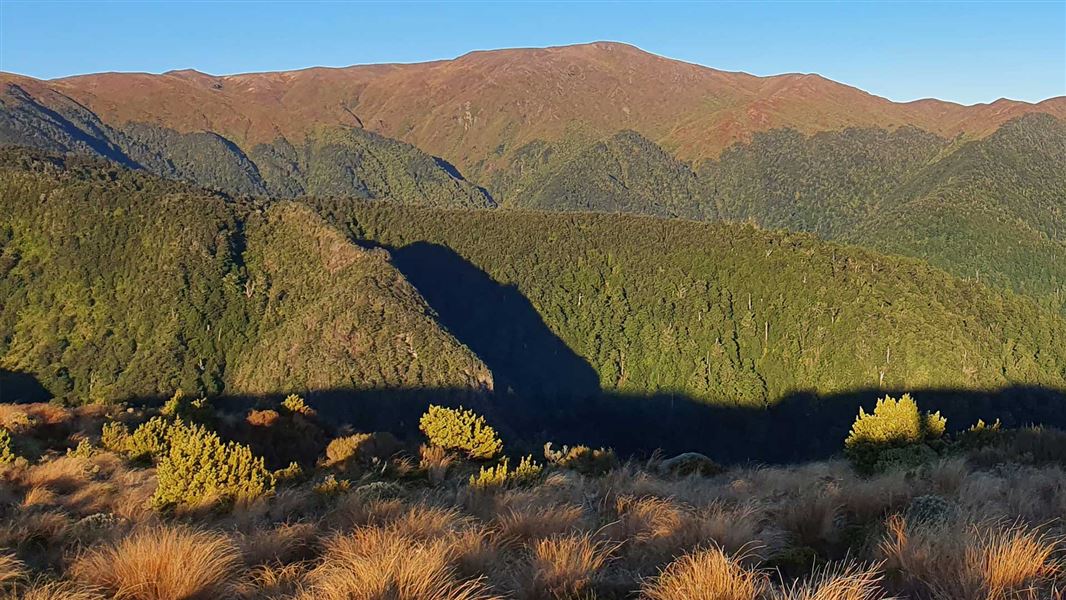 Mountain landscape in Kaimanawa Forest Park, with rolling tussock-covered hills, native vegetation and distant ranges under a blue sky.