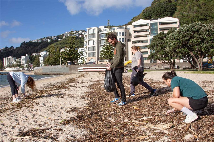People picking up rubbish on a beach. 