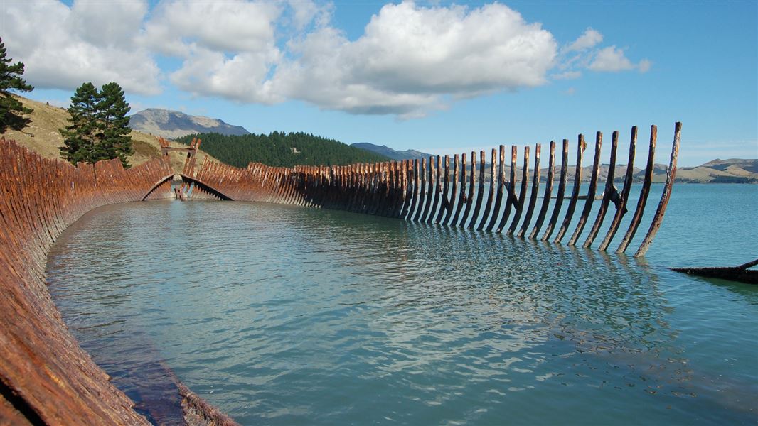 Ōtamahua/Quail Island Track Walking in Ōtamahua/Quail Island