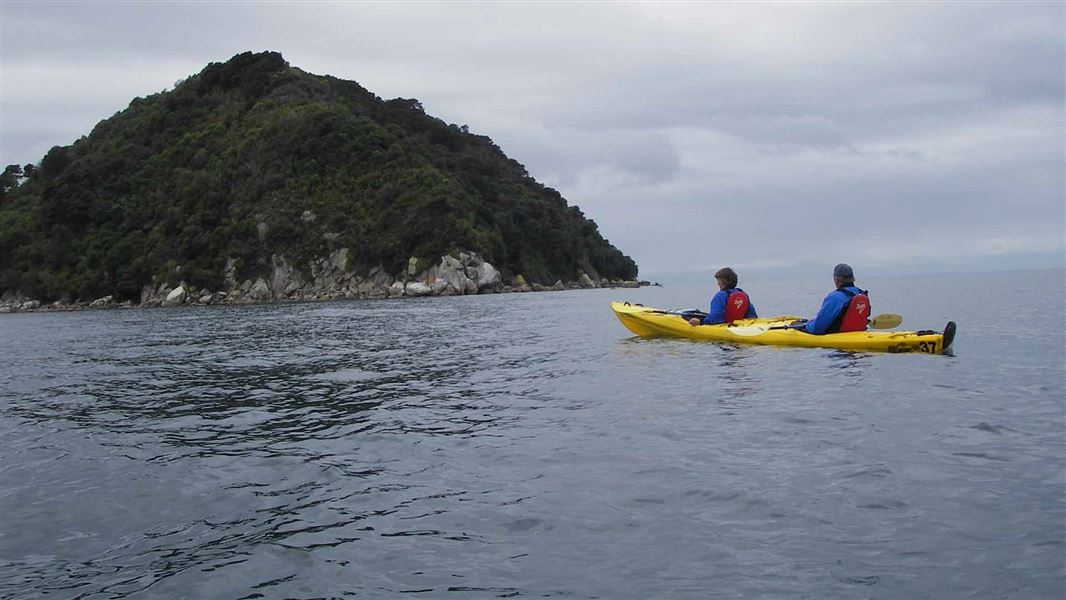 New Protection For Tasman Bay Marine Reserves Mirage News