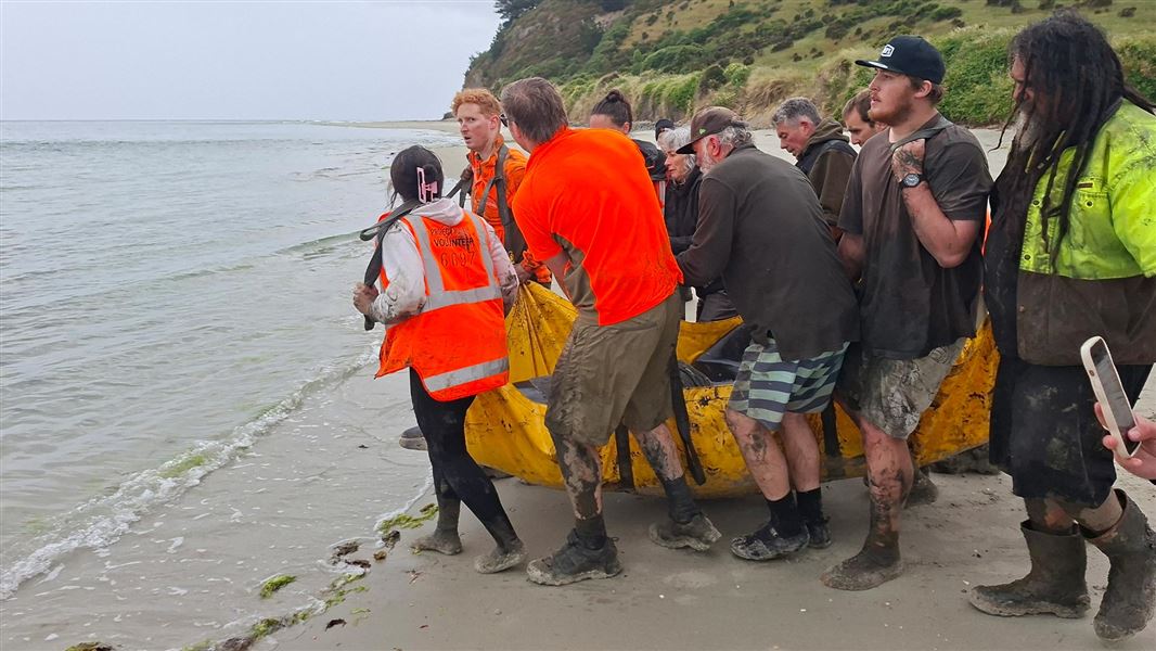 A group of ten people carry a dolphin in a yellow tarpaulin. 