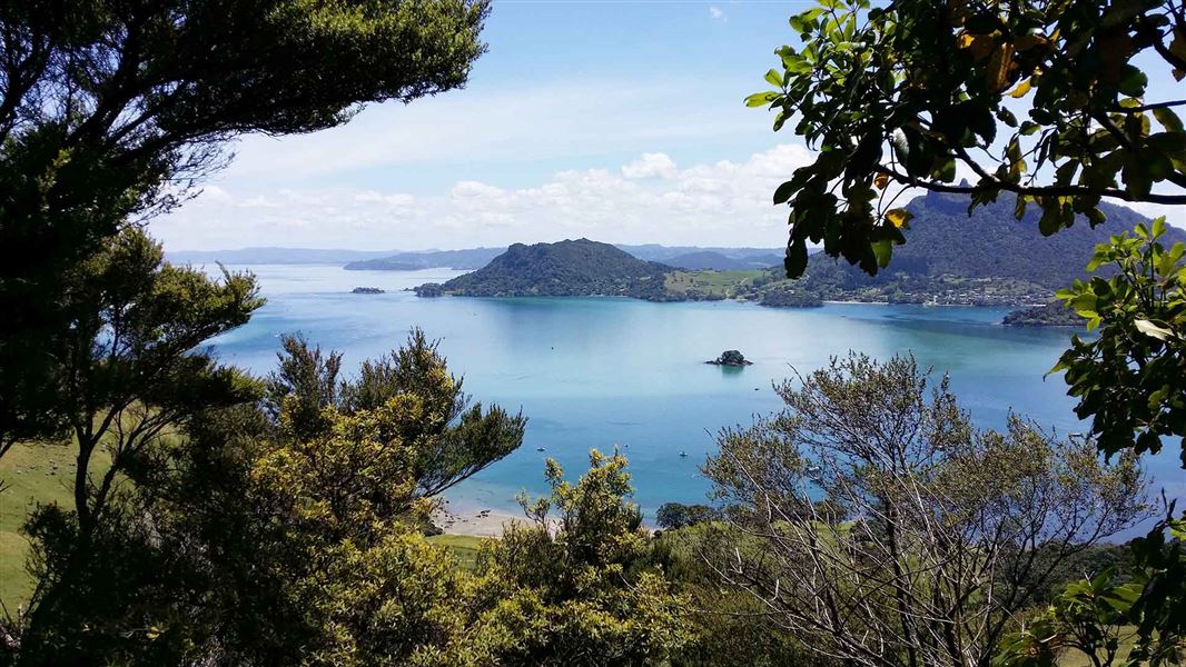 View through the trees to a harbour and wooded hills.