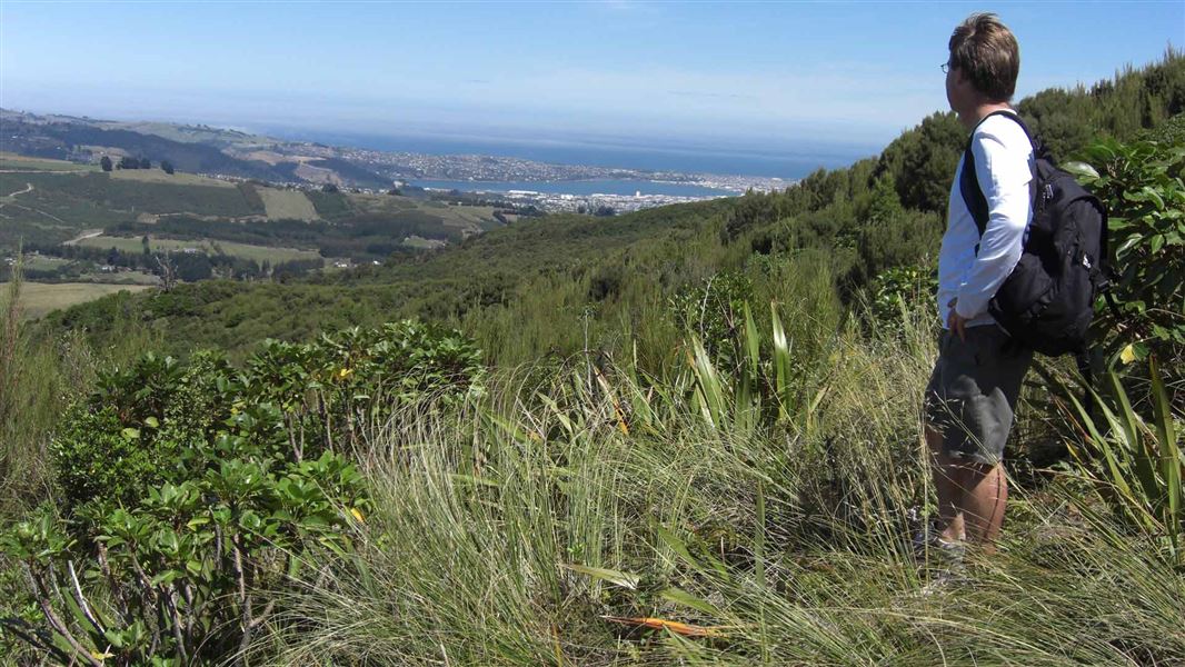 View of paddocks and township from top of Leith Saddle Track. 