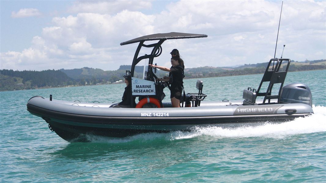 People on boat in water completing activities for the Marine Kaitiaki Course.